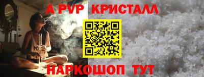 крисы Гатчина