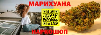 крисы Гатчина
