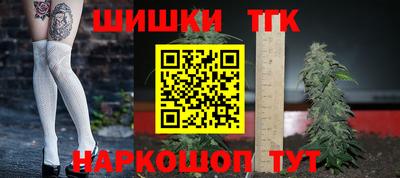 крисы Гатчина
