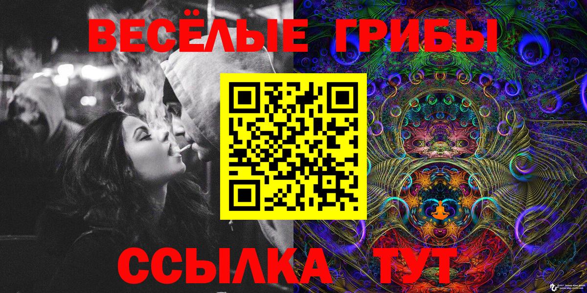 Медногорск  Псилоцибиновые грибы мухоморы  Вход с VPN 