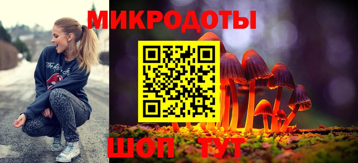 Псилоцибиновые грибы Cubensis Медногорск